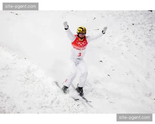 王心迪空中技巧选手 伤病恢复与技术调整战术过程